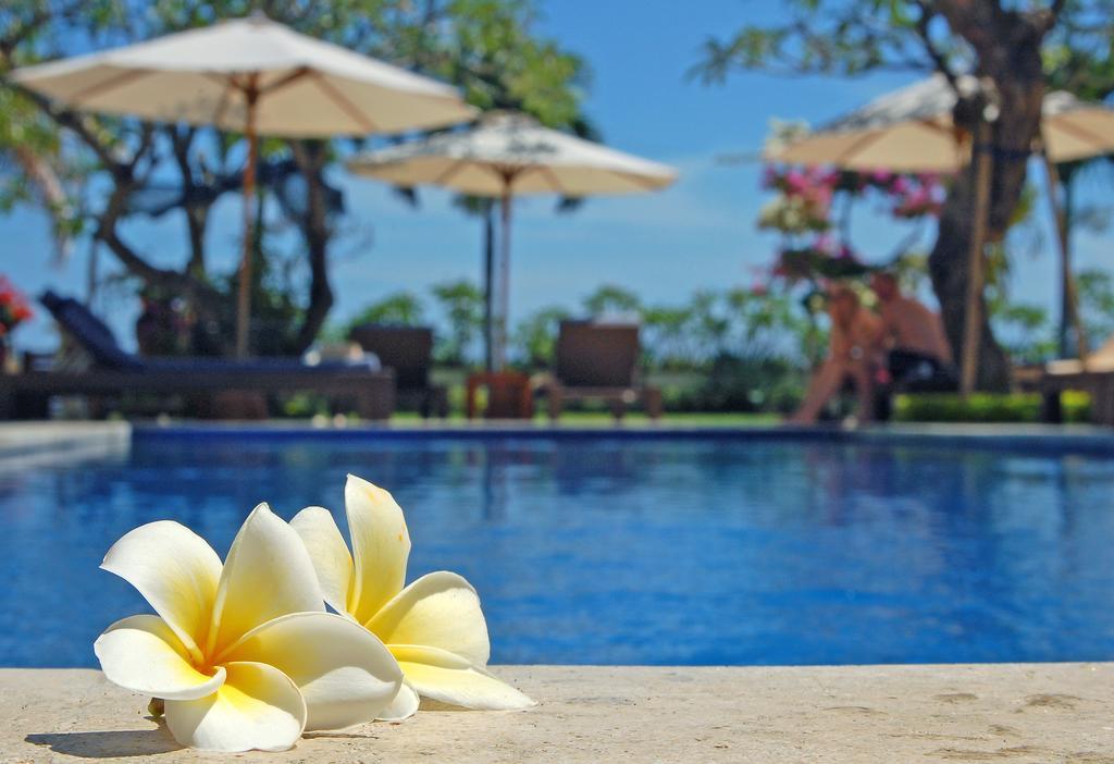 Frangipani Beach Hotel Ловина Экстерьер фото