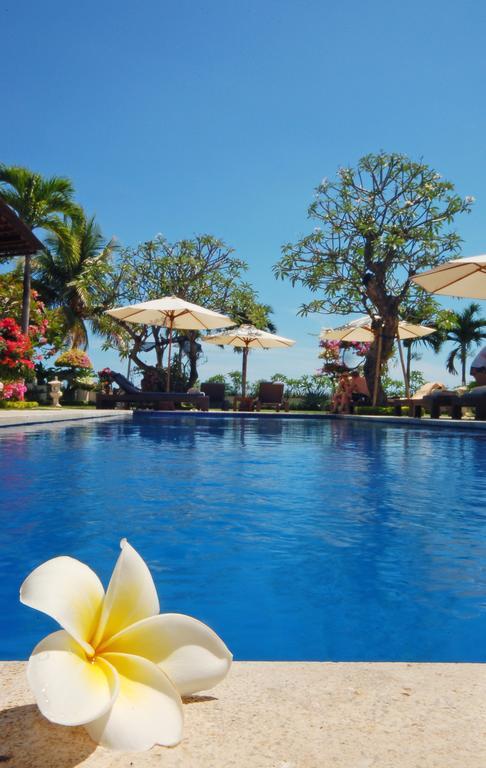 Frangipani Beach Hotel Ловина Экстерьер фото